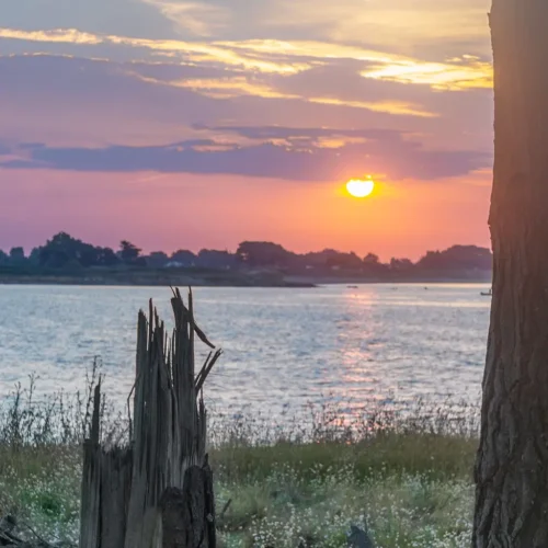 Fotografía de un amanecer en la Pointe de Kerpenhir en Locmariaquer con un árbol y vistas al mar