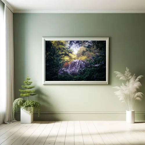 Photographie de la forêt de Camors, Morbihan, Bretagne avec un rocher encadrée dans un intérieur chic végétal