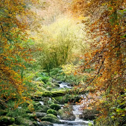 Fotografía Bretaña - Edición limitada de las cascadas de Ellez en los Montes de Arrée, Finisterre