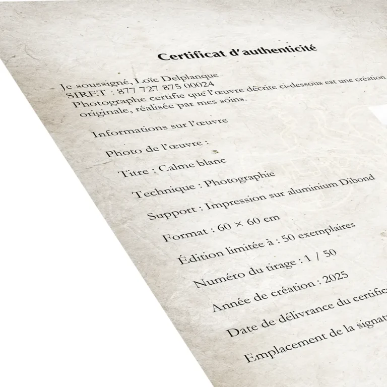 Photo art Bretagne — Saint-Goustan sous la lune — vue 6