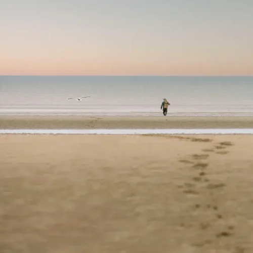 Foto artística de un pescador y una gaviota en la playa de Deauville, frente al mar