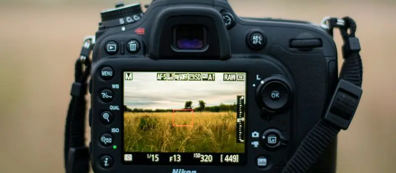 Appareil photo affichant le cadrage d’un paysage champêtre sur son écran