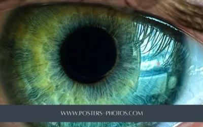 El ojo del fotógrafo