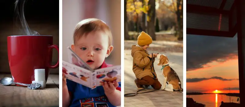 Quadriptyque photo journaling moments quotidiens tasse café fumante livre bébé lecture enfant chien coucher soleil fenêtre