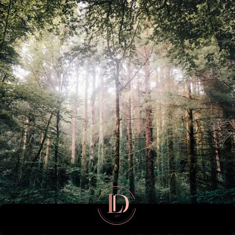 Camors forest Morbihan Brittany