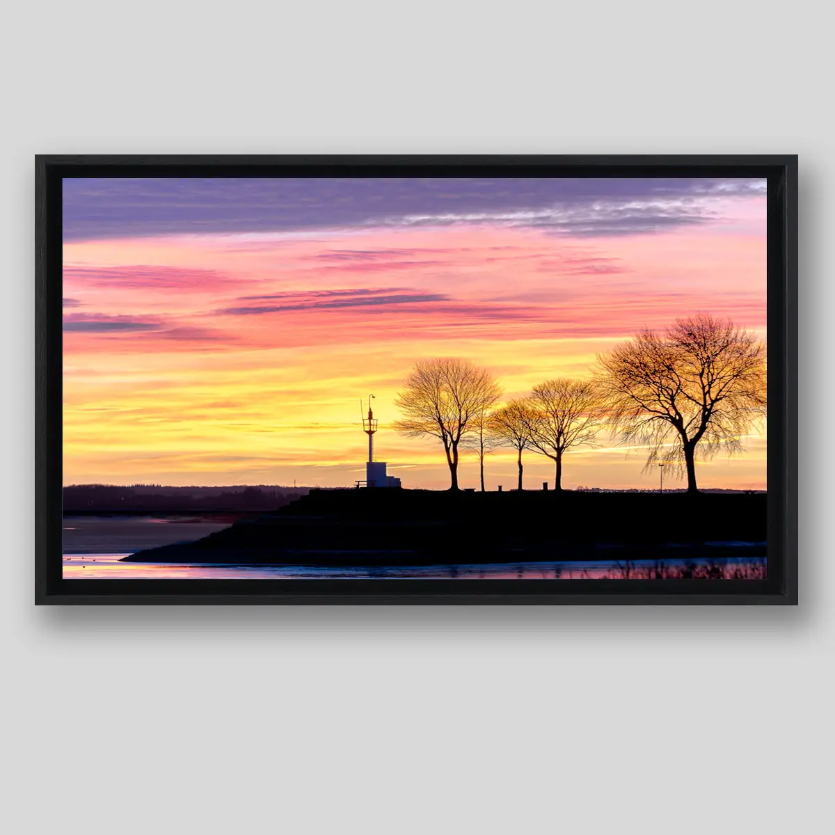 Sunrise in the Baie de Somme, shadowy trees in Saint-Valery-sur-Somme, in an American crate