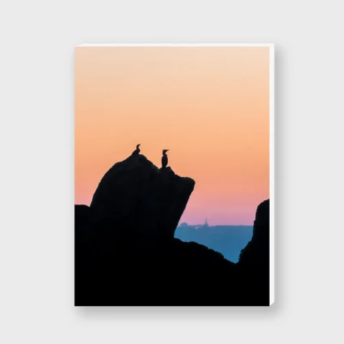 Coucher de soleil flamboyant et cormorans en ombres chinoises sur les rochers, photographie artistique sur Forex.