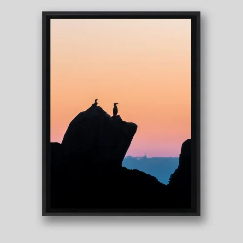 Cormorans en silhouettes sur rochers au coucher du soleil, photo minimaliste, en caisse américaine