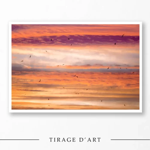 Ciel coloré de coucher de soleil strié de nuages orange et violets avec une nuée d'oiseaux en silhouette.