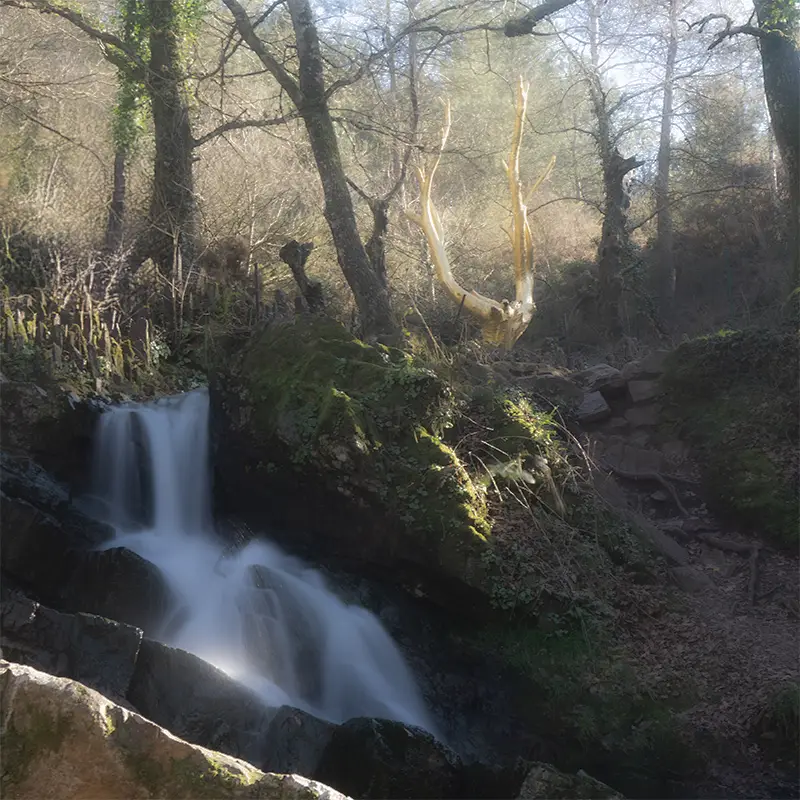 Cascade Brocéliande rochers moussus lumière dorée Fontaine Barenton - ©Loïc Delplanque