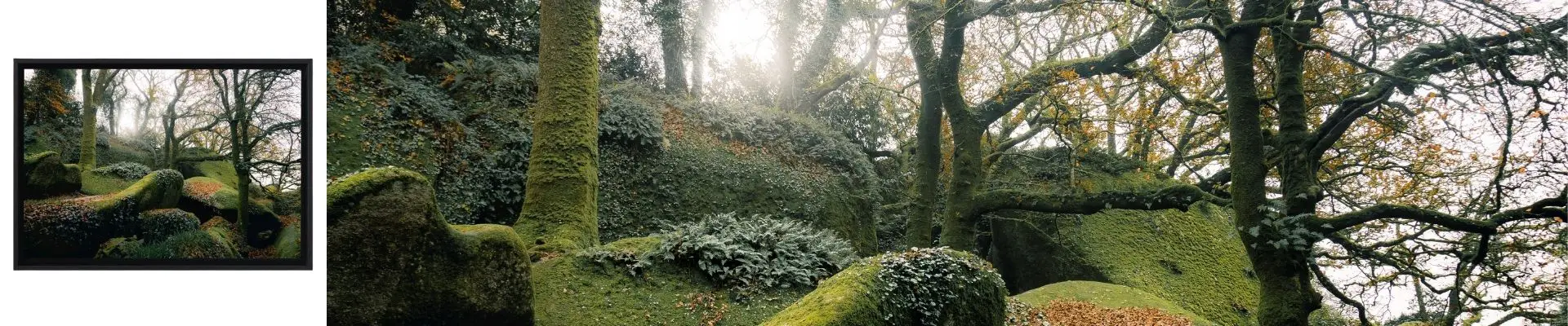 El bosque bretón del caos de Huelgoat, con rocas cubiertas de musgo y la luz filtrándose entre los árboles.
