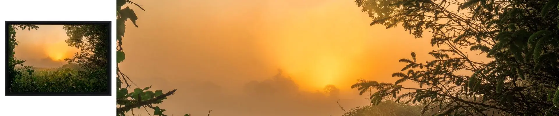 Amanecer en la niebla sobre un paisaje campestre en Ille-et-Vilaine, enmarcado por ramas.