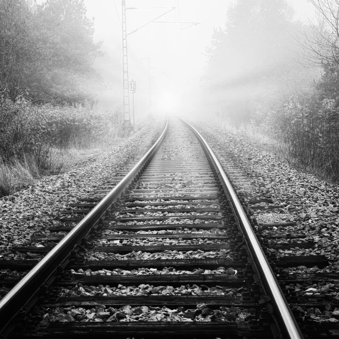 Fotografía en blanco y negro que muestra la gestión de la exposición en la niebla y las altas luces