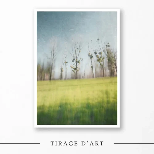 Photo art nature Entre deux souffles — arbres et prairie verte, technique ICM et superposition