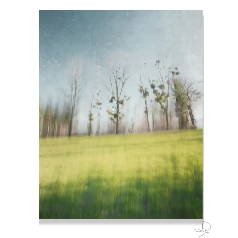 Photo art nature — Entre deux souffles — vue 5