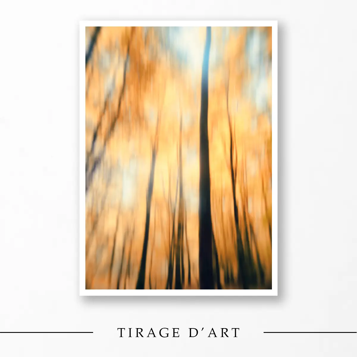 Photographie abstraite contemporaine — Fièvre d'automne