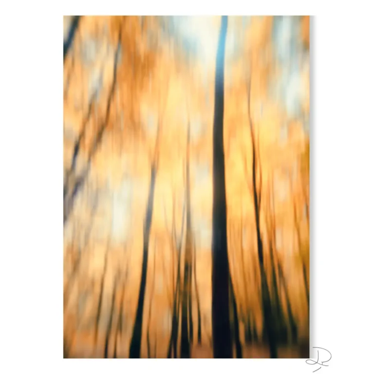 Photographie abstraite contemporaine — Fièvre d'automne — vue 5